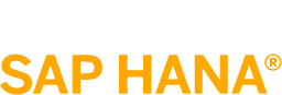 SAP Business One 2